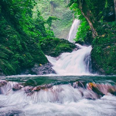 神之领域手游下载